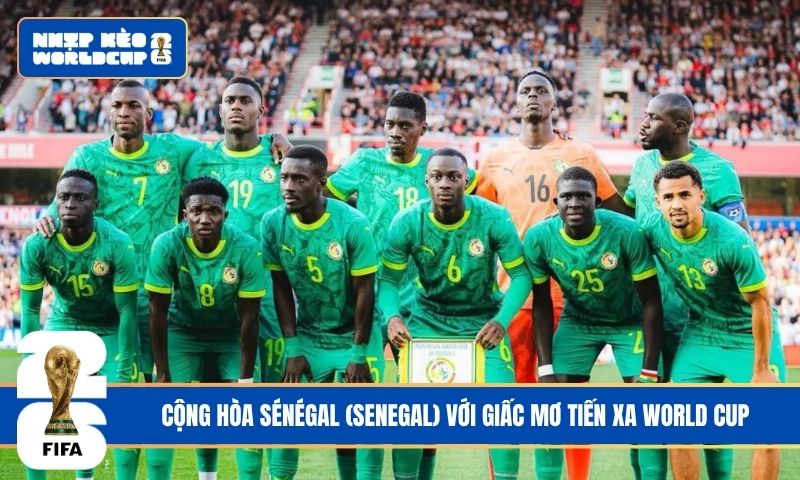 Cộng hòa Sénégal (Senegal) với giấc mơ tiến xa World Cup