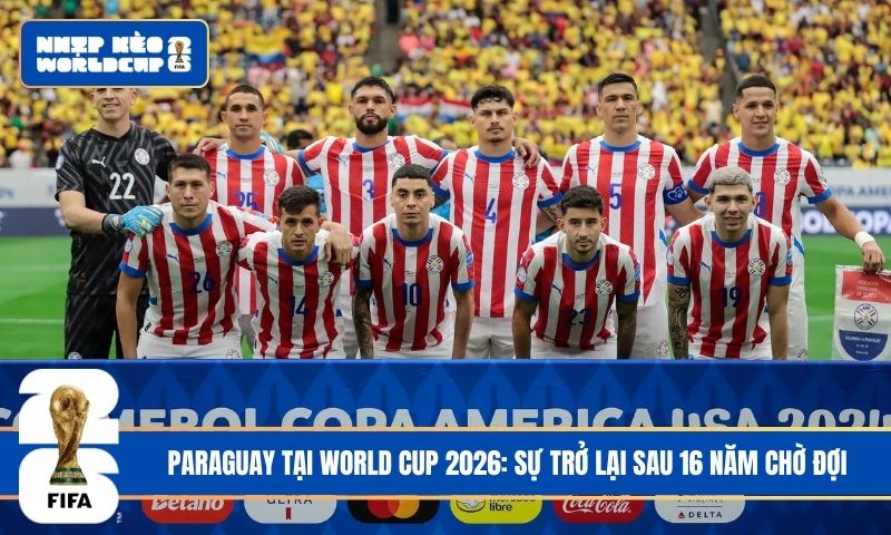 Paraguay tại World Cup 2026: Sự trở lại sau 16 năm chờ đợi
